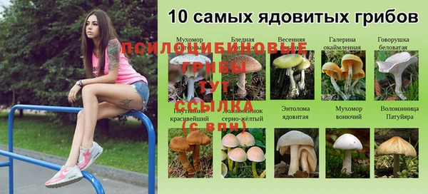 кокаин премиум Баксан