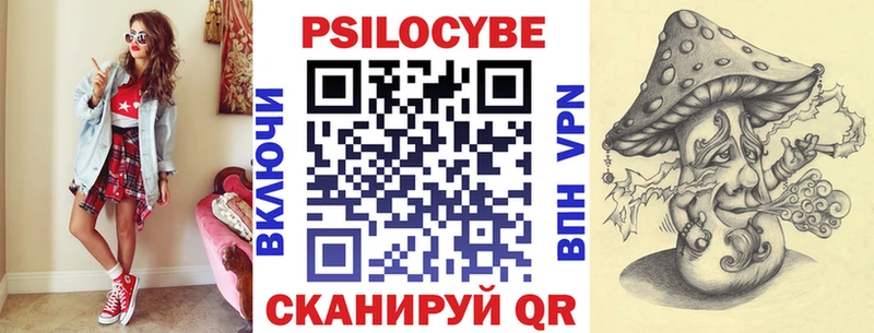 купить закладку  нарко площадка телеграм  Галлюциногенные грибы прущие грибы  Чадан 